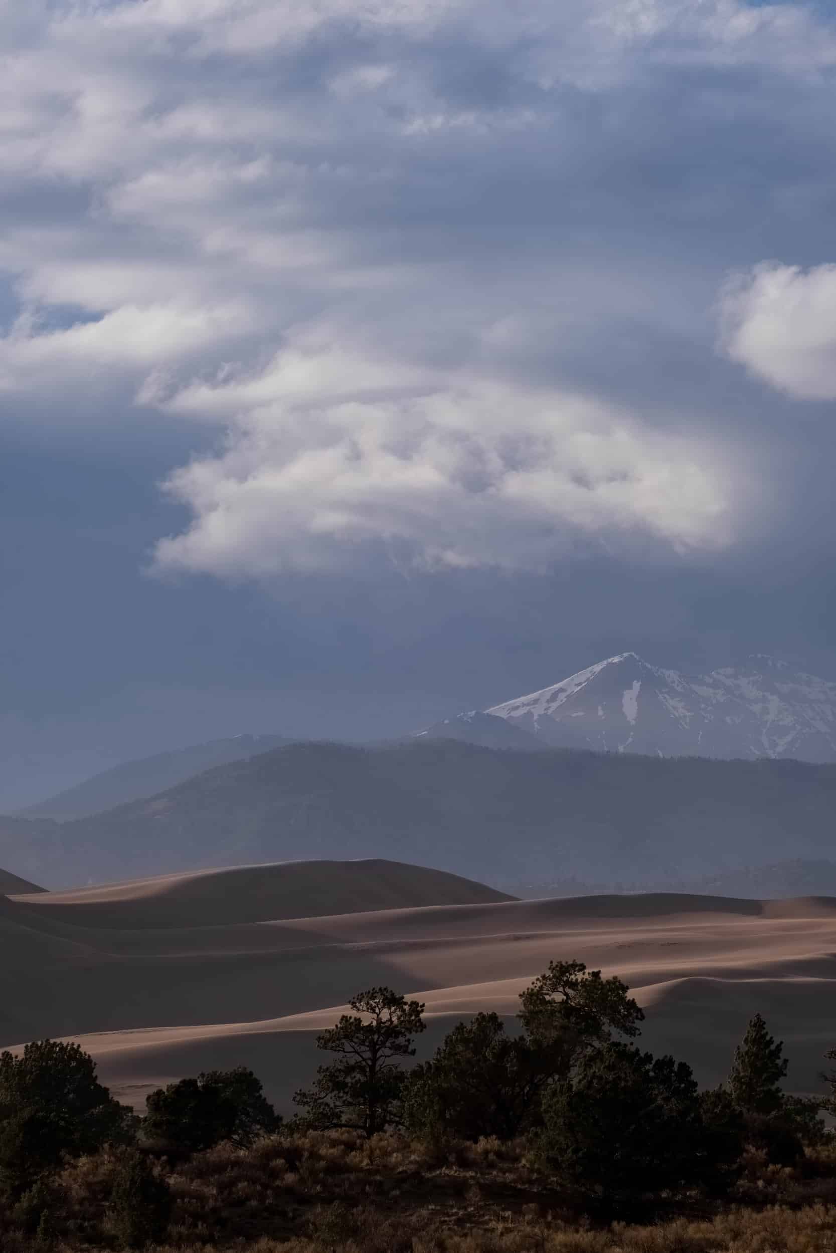 Hills and forest with misty mountains in the distance